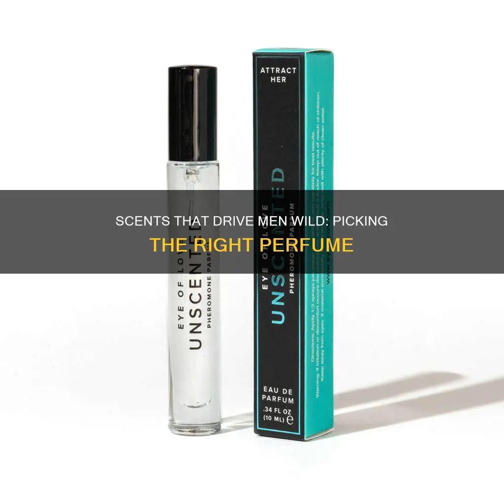 what perfume attracts guys