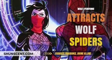 How to Attract Wolf Spiders Using Scents