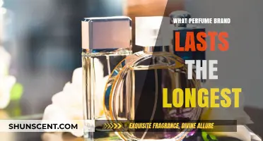 Long-Lasting Scents: Best Perfumes with Staying Power