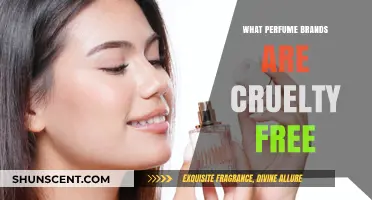 Cruelty-Free Scents: Explore Top Perfume Brands