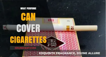 Masking Cigarette Odor with Perfume: Effective Scents