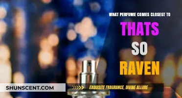 Raven's Scent: Discovering Perfumes Closest to That's So Raven