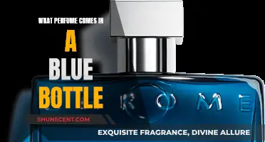 Blue Bottle Scents: Discover the Perfumes