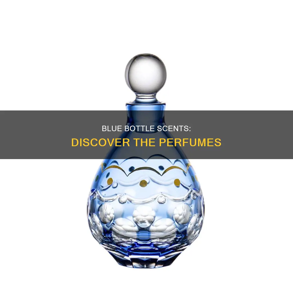 what perfume comes in a blue bottle
