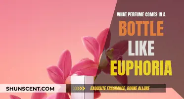 Euphoria-like Bottles: What Perfumes Share Similar Packaging?