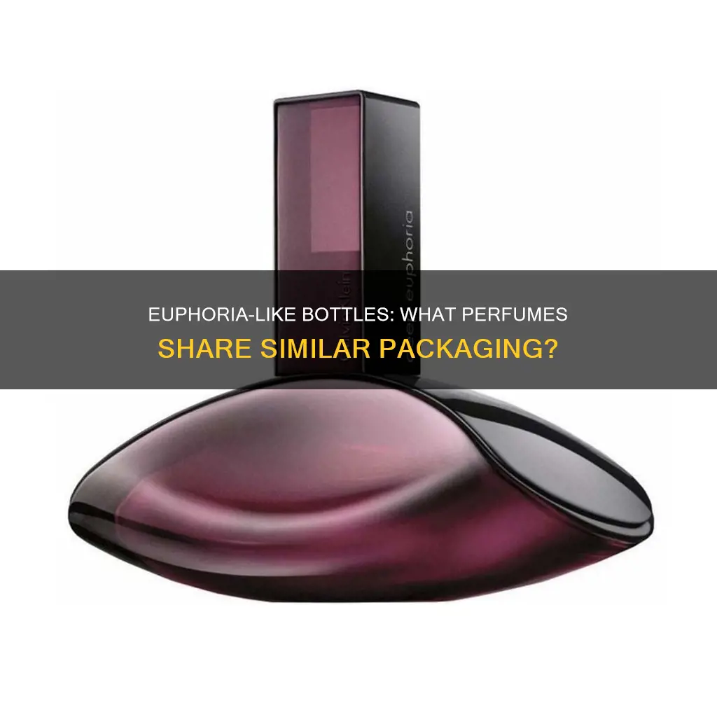 what perfume comes in a bottle like euphoria