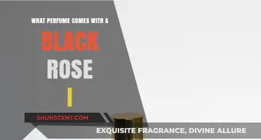 Black Rose Scents: Discover the Dark Fragrance