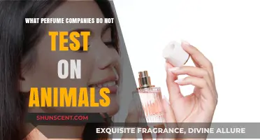 Cruelty-Free Scents: Animal-Friendly Perfume Brands
