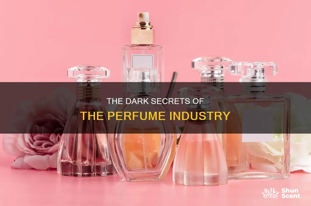 what perfume companies don