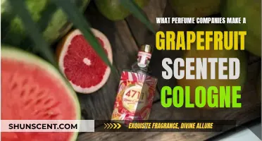 Grapefruit Scents: Top Colognes for Men by Perfume Brands