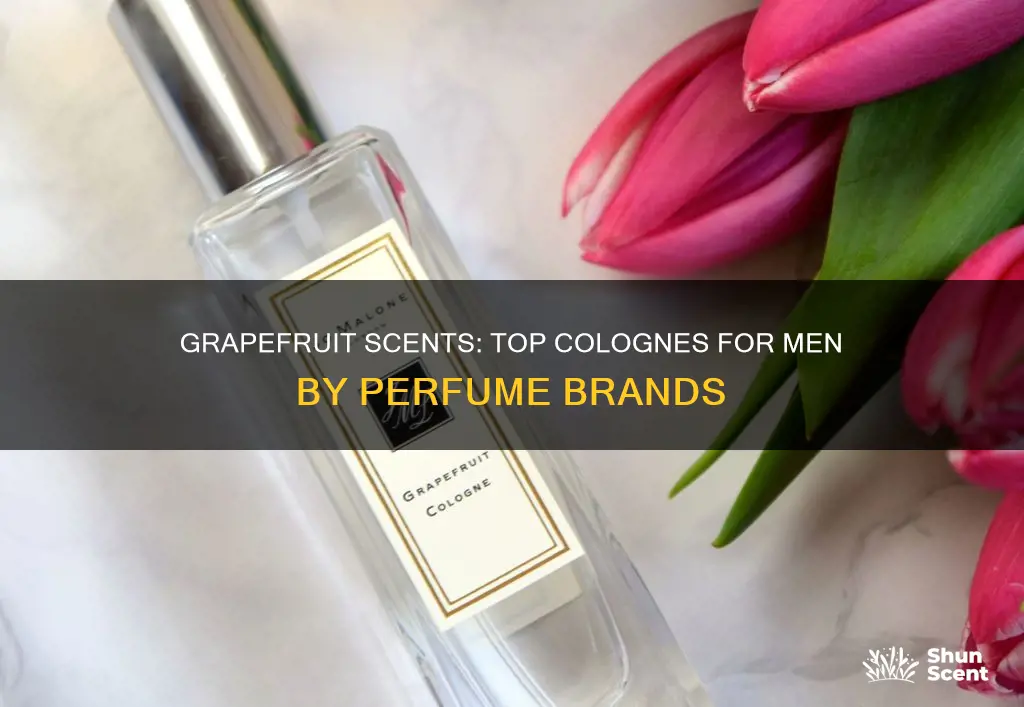 what perfume companies make a grapefruit scented cologne