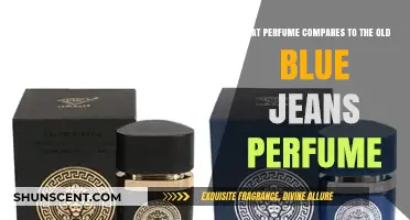 Discover the Perfect Scent: Alternatives to Vintage Blue Jeans Perfume