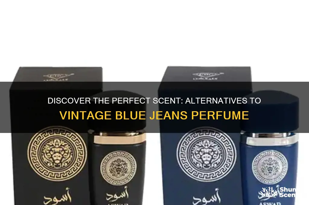 what perfume compares to the old blue jeans perfume
