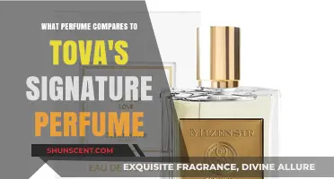 Discover Scents Similar to TOVA's Signature Perfume: Top Alternatives