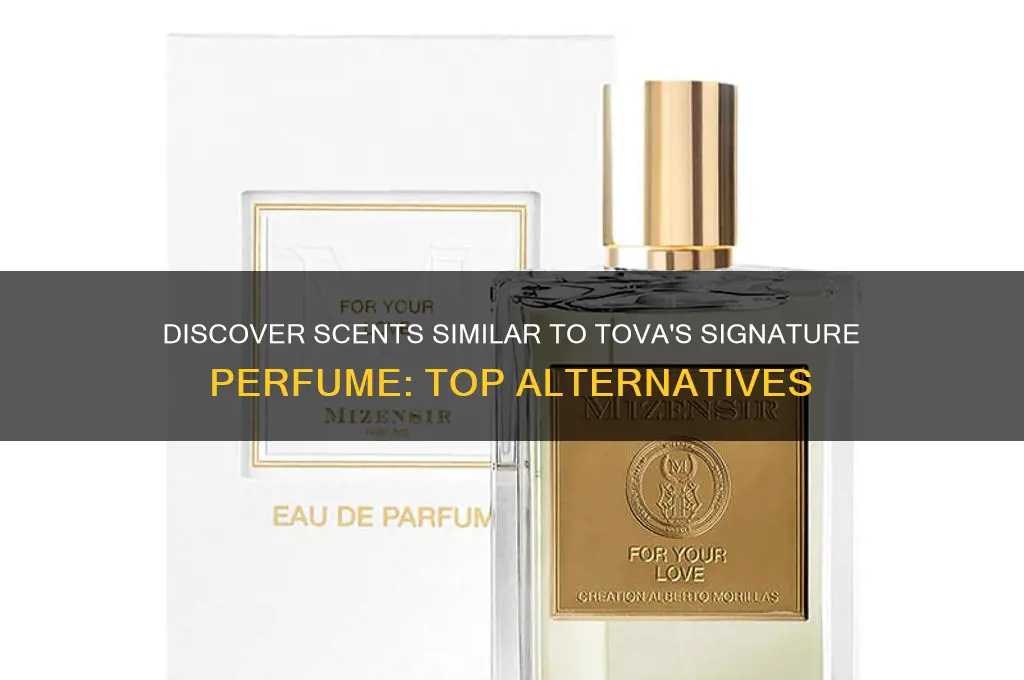 what perfume compares to tova