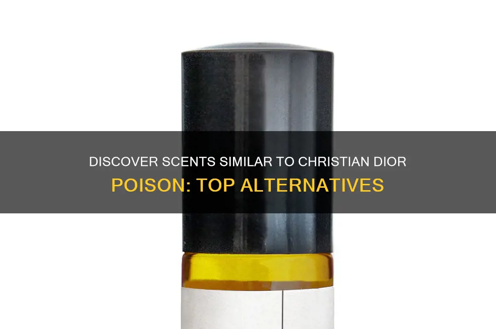 what perfume compares with christian dior poison perfume