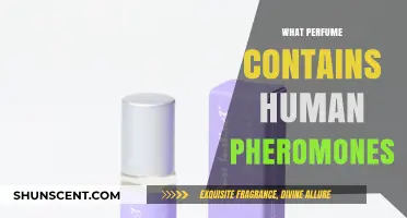 Unveiling the Scent: Perfumes Infused with Human Pheromones Explained