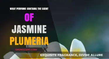 Discover Jasmine Plumeria Perfumes: Top Fragrances with Floral Bliss