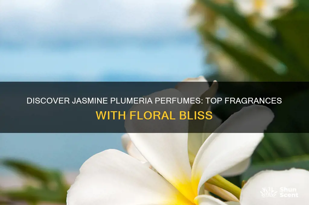 what perfume contains the scent of jasmine plumeria