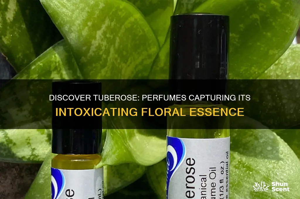 what perfume contains the scent of tuberose