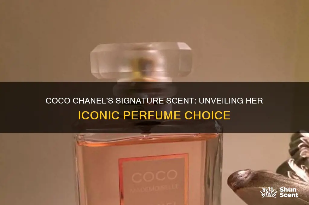 what perfume did coco chanel wear