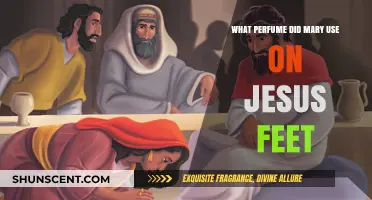 Mary's Anointing: The Fragrant Perfume Used on Jesus' Feet