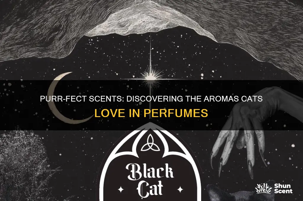 what perfume do cats like