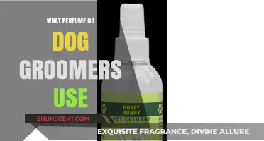Top Pet-Safe Grooming Scents: What Perfume Do Dog Groomers Use?