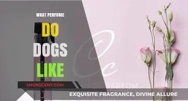 Scents That Soothe: Discovering Dog-Friendly Perfumes They Love