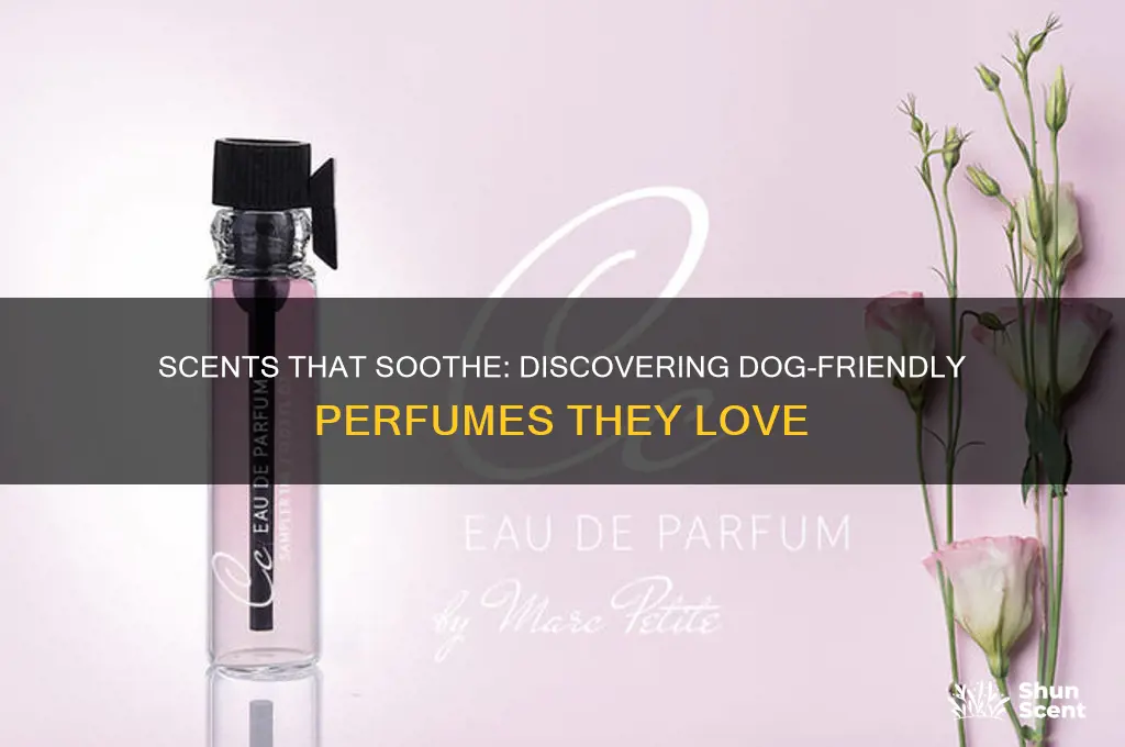 what perfume do dogs like