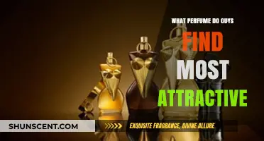Scents That Captivate: What Perfume Do Guys Find Most Attractive?