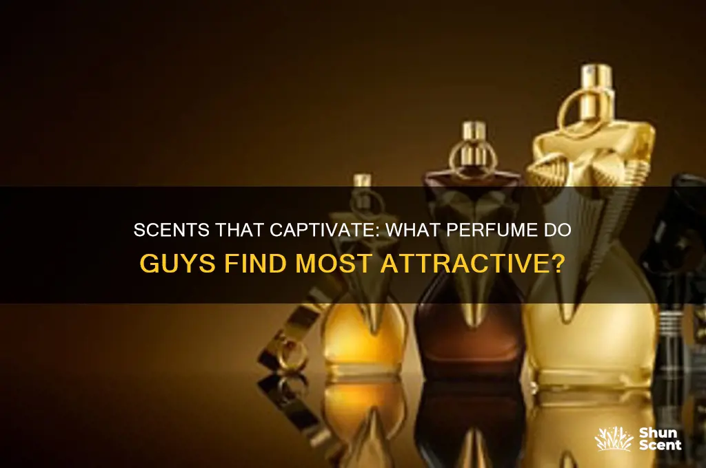 what perfume do guys find most attractive