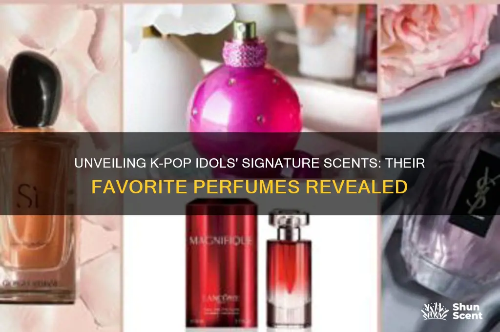 what perfume do kpop idols use
