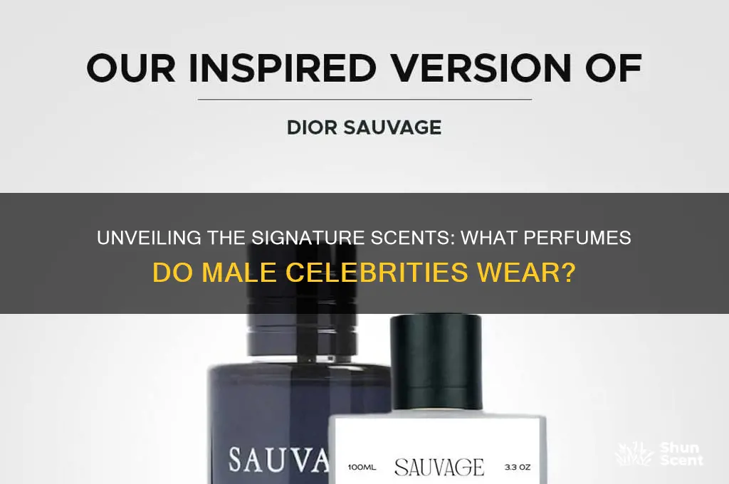 what perfume do male celebrities wear