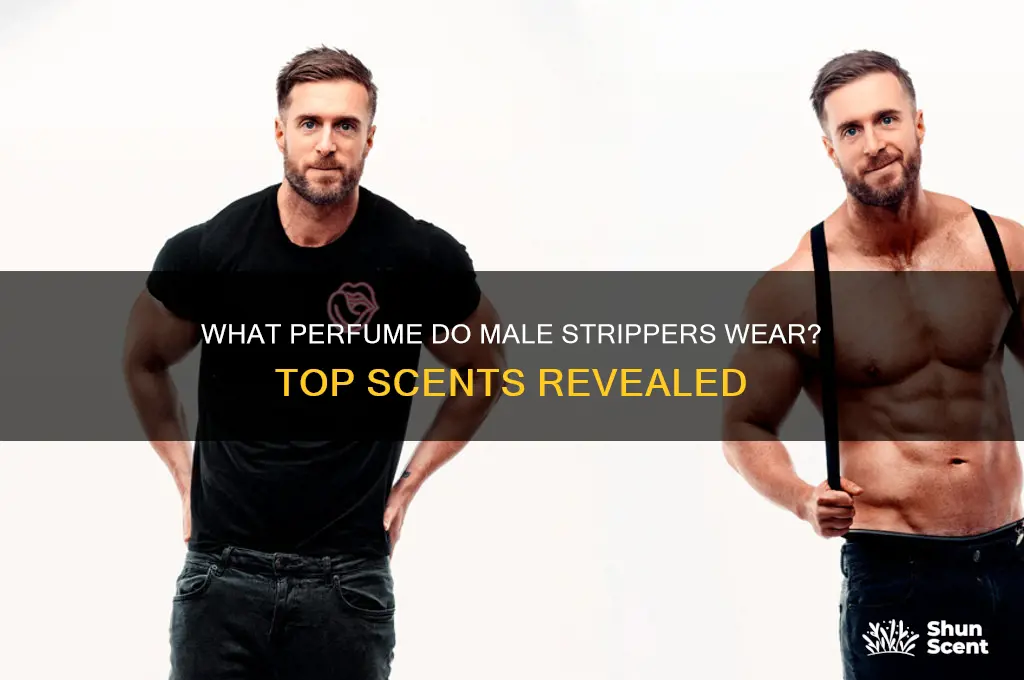 what perfume do male strippers wear