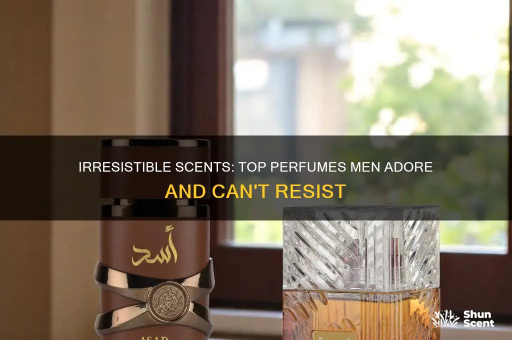 what perfume do men love most