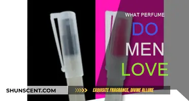 Scents Men Adore: Choosing the Right Perfume
