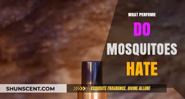 Mosquitoes Hate These Scents: Natural Repellents for Summer