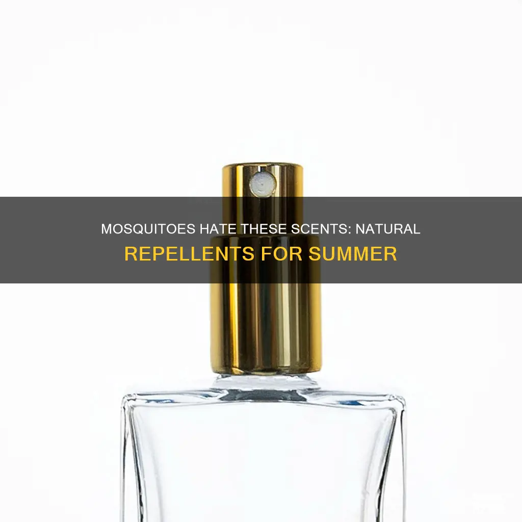 what perfume do mosquitoes hate