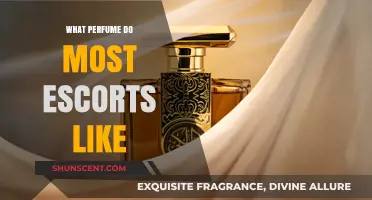 Escorts' Favorite Perfumes: Top Sensual Scents for Professional Companions