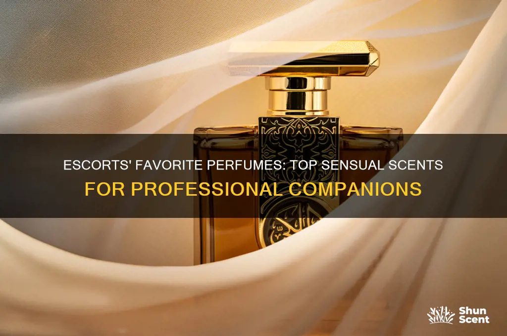 what perfume do most escorts like