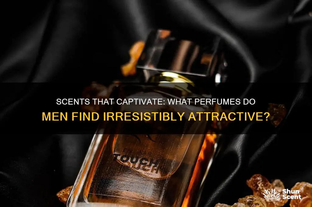 what perfume do nen find attractivr