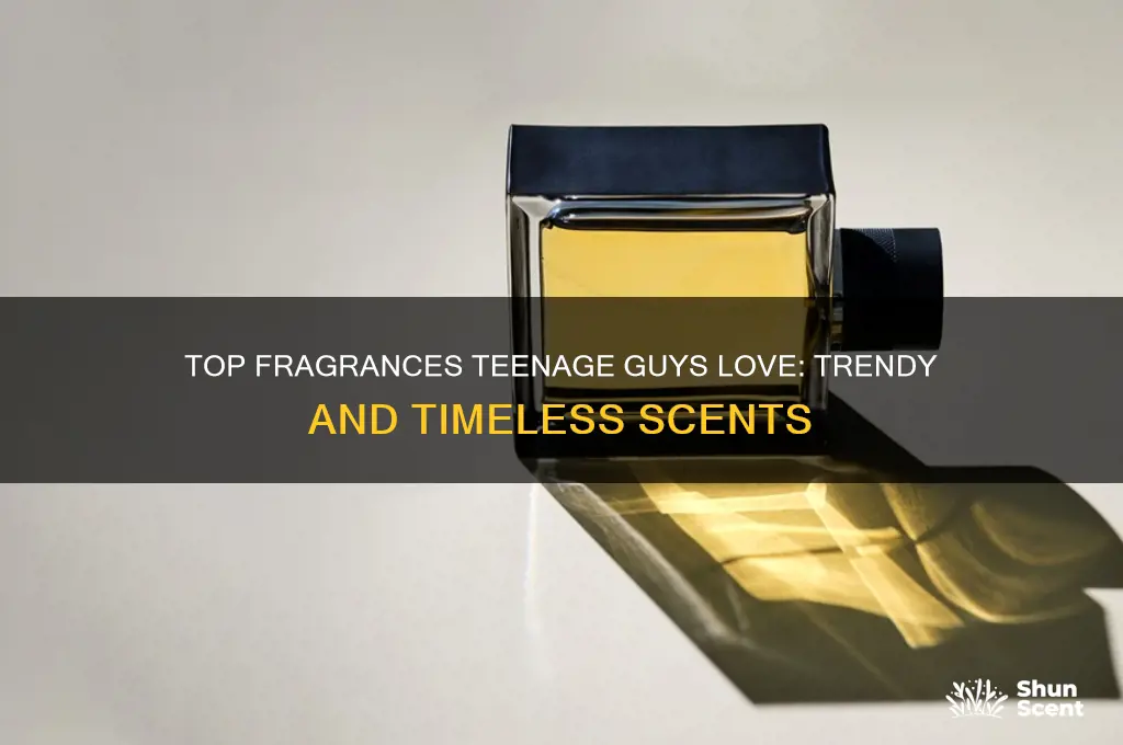 what perfume do teenage guys like