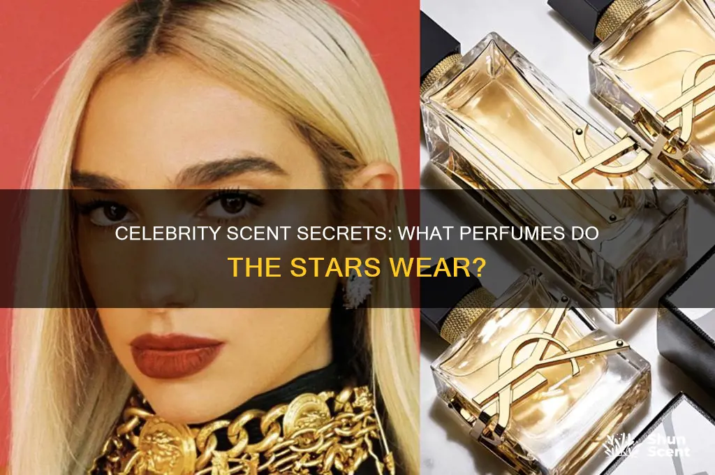 what perfume do the stars wear