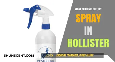 Unveiling Hollister's Signature Scent: The Perfume Behind the Brand's Iconic Aroma