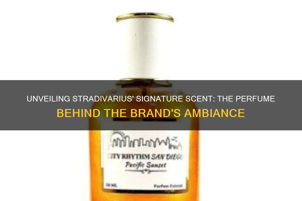 what perfume do they spray in stradivarius