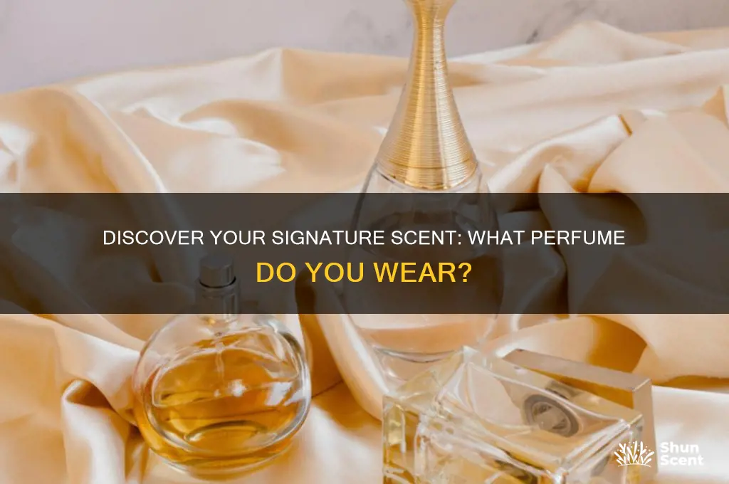 what perfume do you wear
