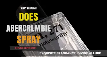 Unveiling Abercrombie's Signature Scent: The Perfume Behind the In-Store Aroma