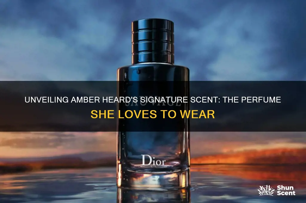 what perfume does amber heard wear