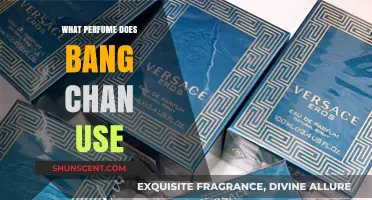 Unveiling Bang Chan's Signature Scent: The Perfume He Loves